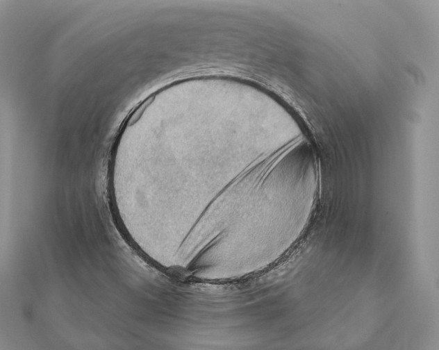 X0000111361500200908211244