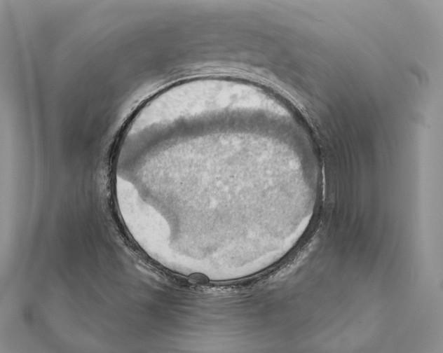 X0000111361501200908211244