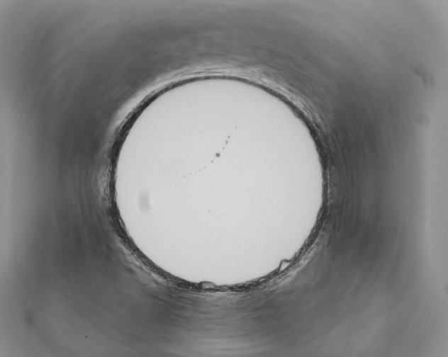 X0000111361502200908211245