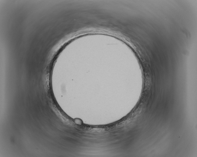 X0000111361503200908211245