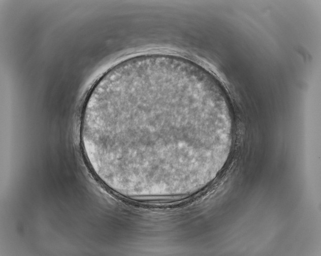 X0000111361504200908211245