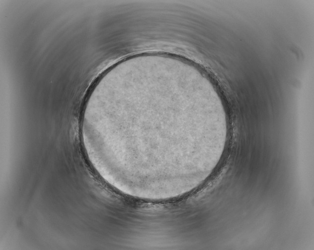 X0000111361505200908211245