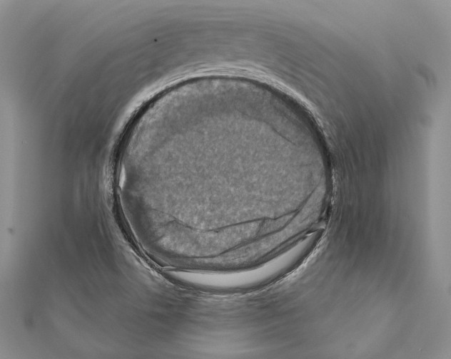 X0000111361506200908211245