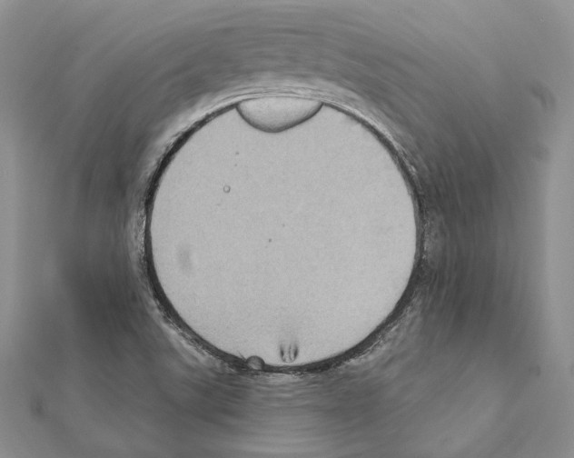 X0000111361507200908211245