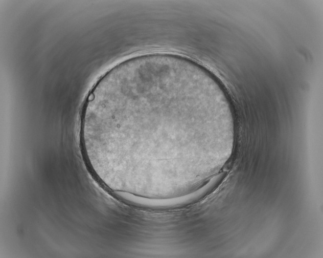 X0000111361508200908211245