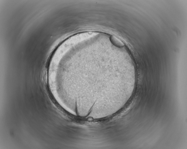 X0000111361509200908211245