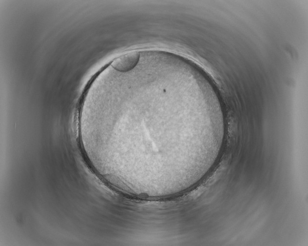 X0000111361510200908211245