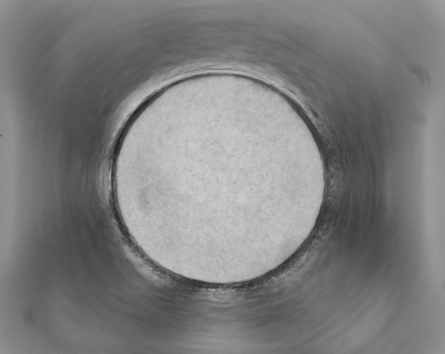 X0000111361511200908211245