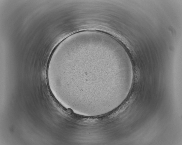 X0000111361513200908211245