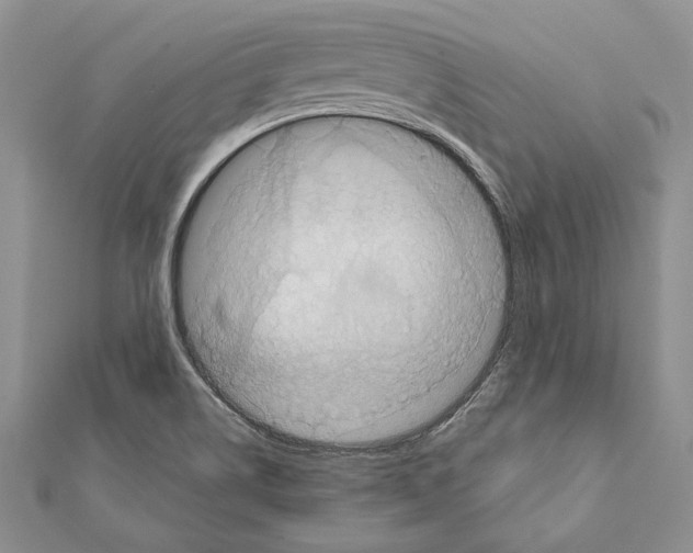 X0000111361514200908211245