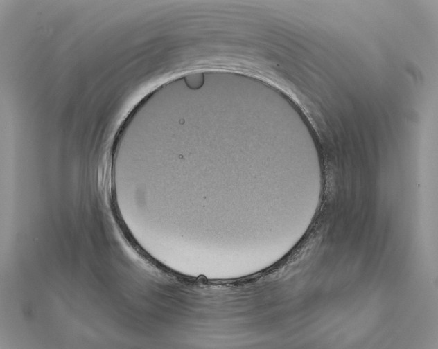 X0000111361515200908211245