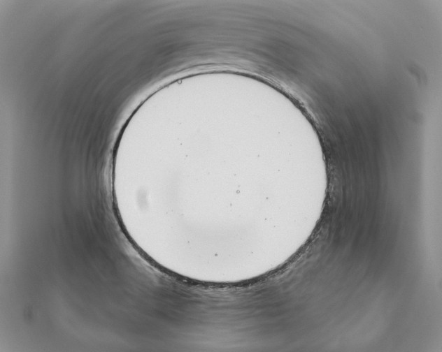 X0000111361516200908211245