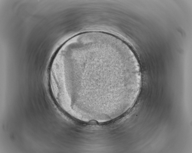 X0000111361517200908211245