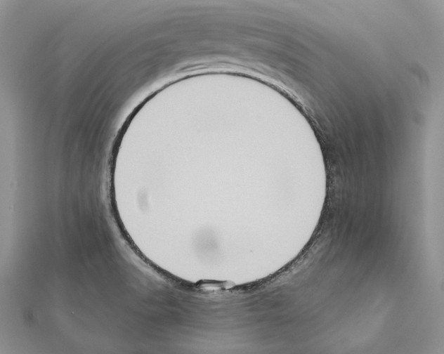 X0000111361518200908211245