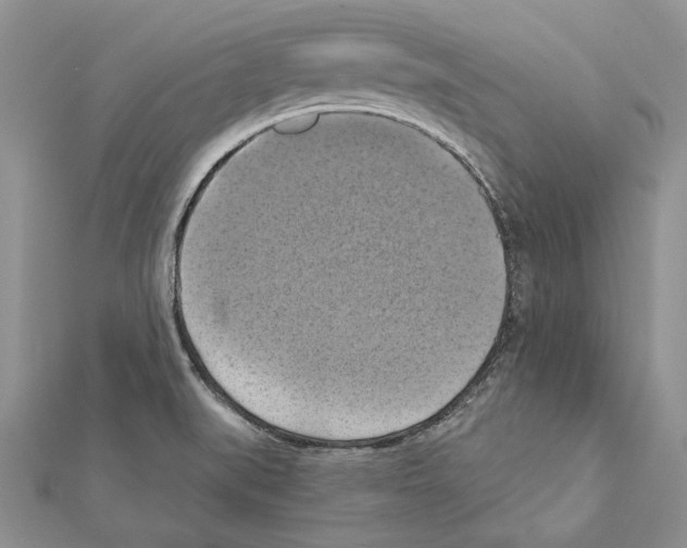 X0000111361519200908211245