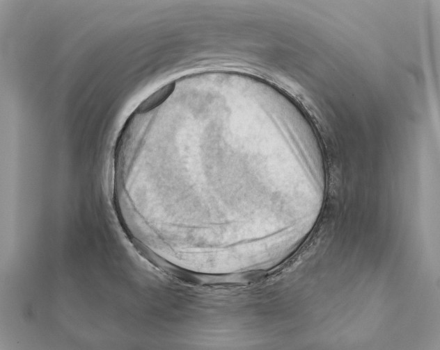 X0000111361520200908211245