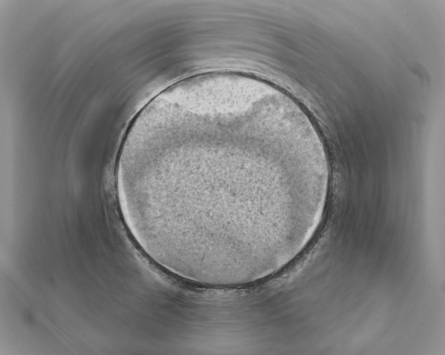 X0000111361521200908211245