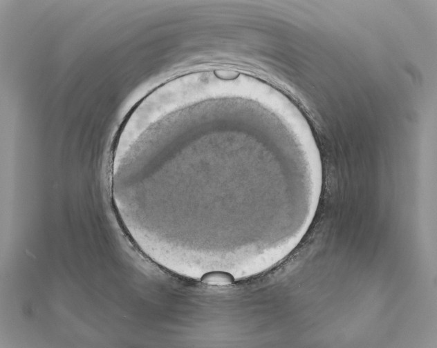 X0000111361522200908211245