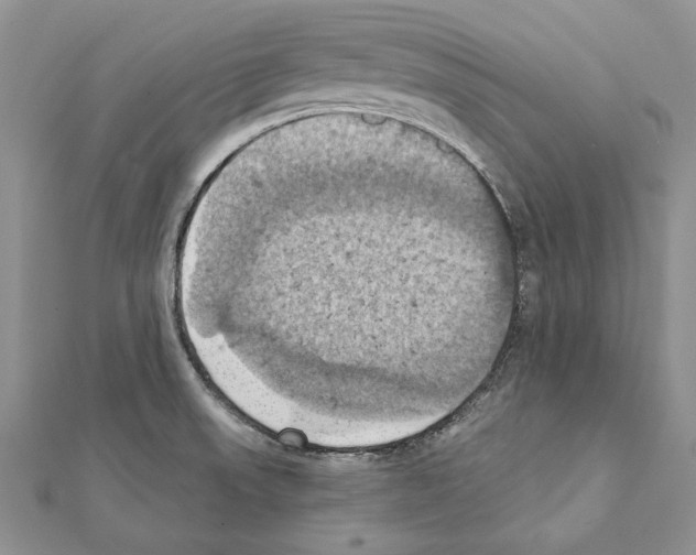 X0000111361523200908211245