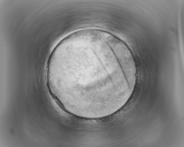 X0000111361524200908211245