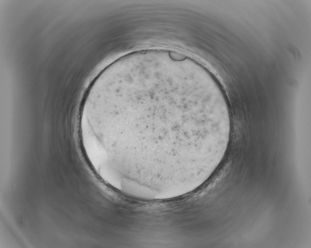 X0000111361525200908211245