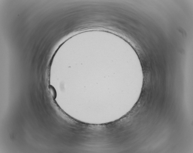 X0000111361526200908211245