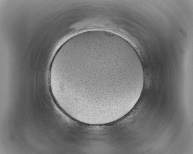 X0000111361527200908211245