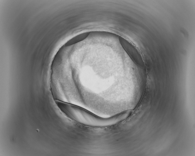 X0000111361528200908211245