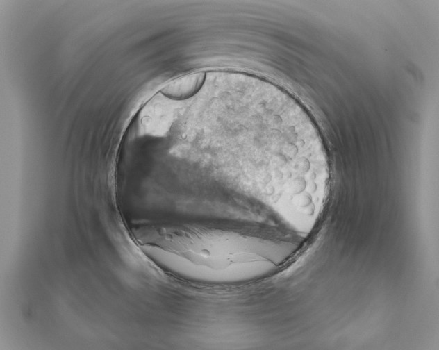 X0000111361529200908211245