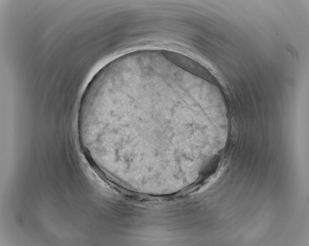 X0000111361530200908211245