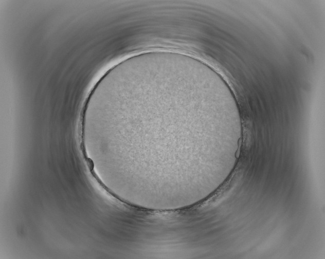 X0000111361531200908211245