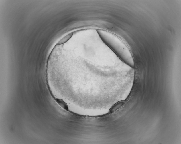 X0000111361532200908211245