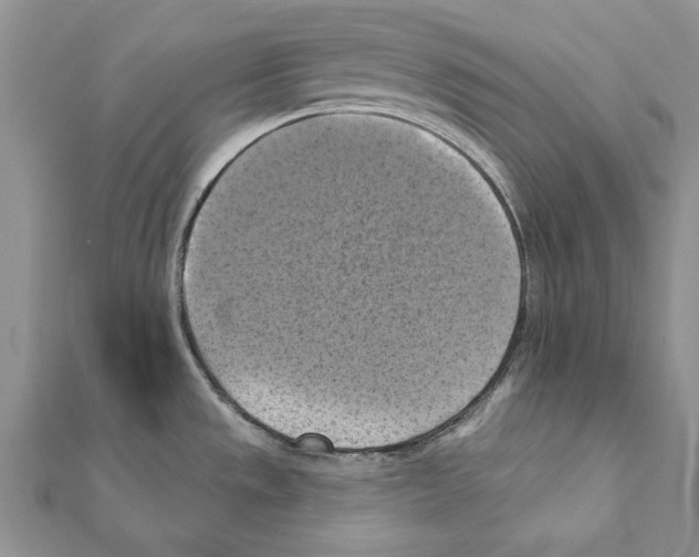 X0000111361533200908211245