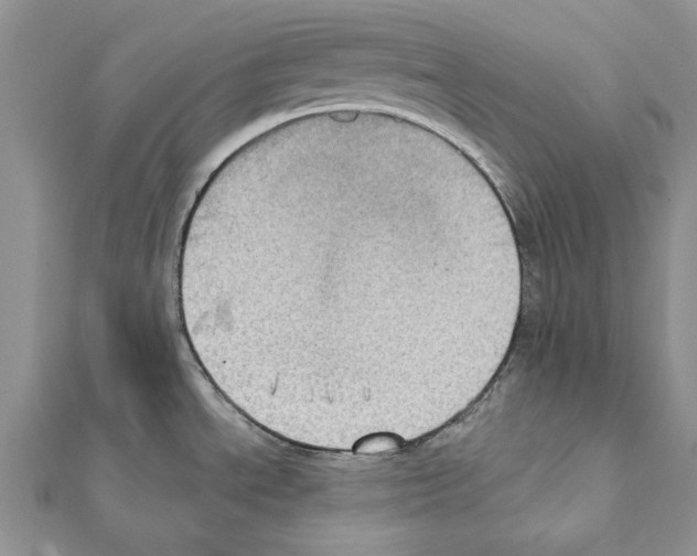 X0000111361534200908211245