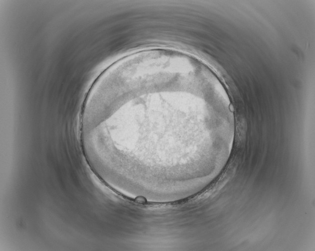 X0000111361535200908211245