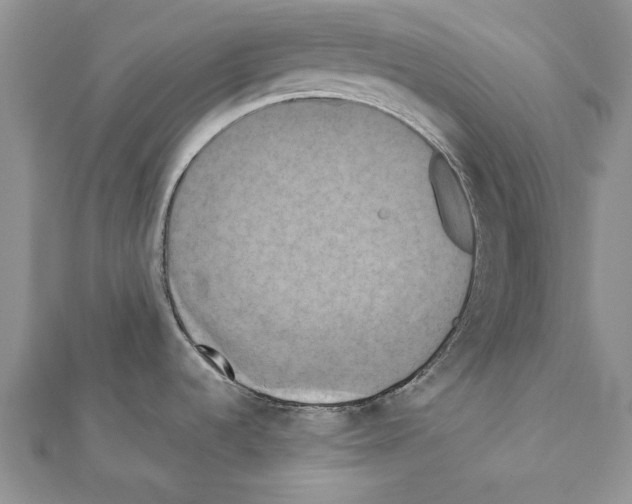 X0000111361536200908211245