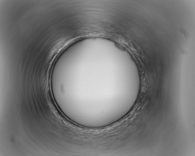 X0000111370002200907101026