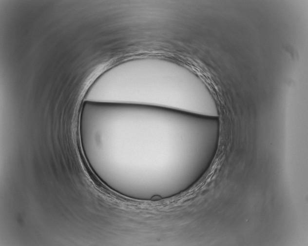 X0000111370003200907101026