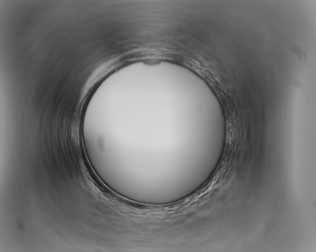 X0000111370004200907101026