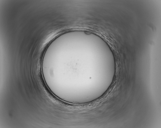 X0000111370005200907101026