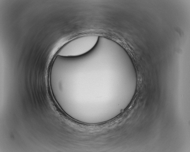 X0000111370006200907101026