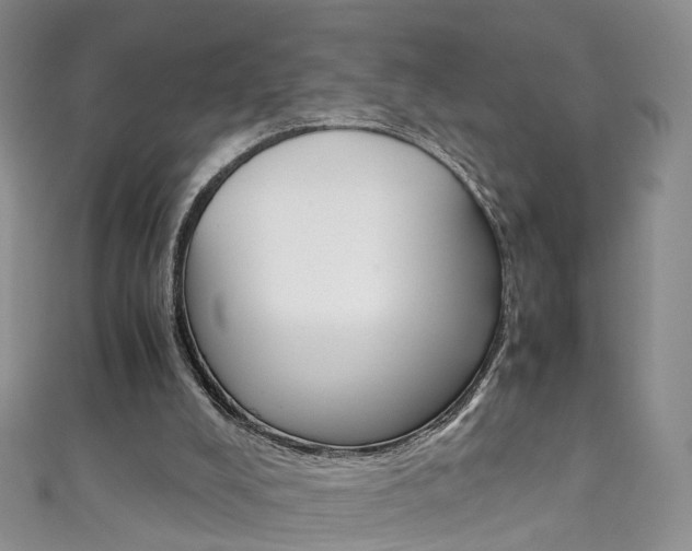 X0000111370008200907101026