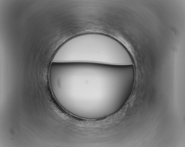 X0000111370009200907101026