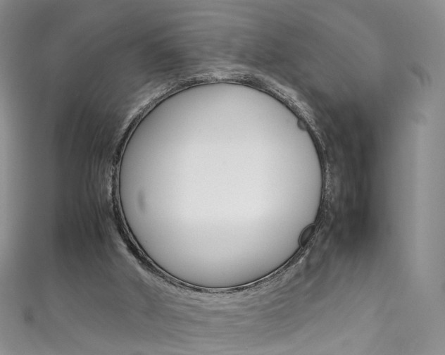 X0000111370010200907101026