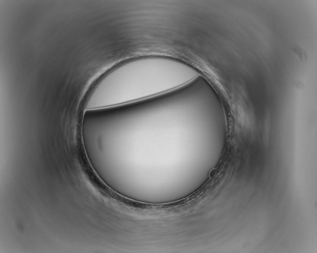 X0000111370012200907101026