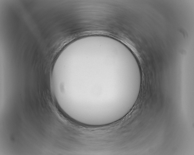 X0000111370013200907101026