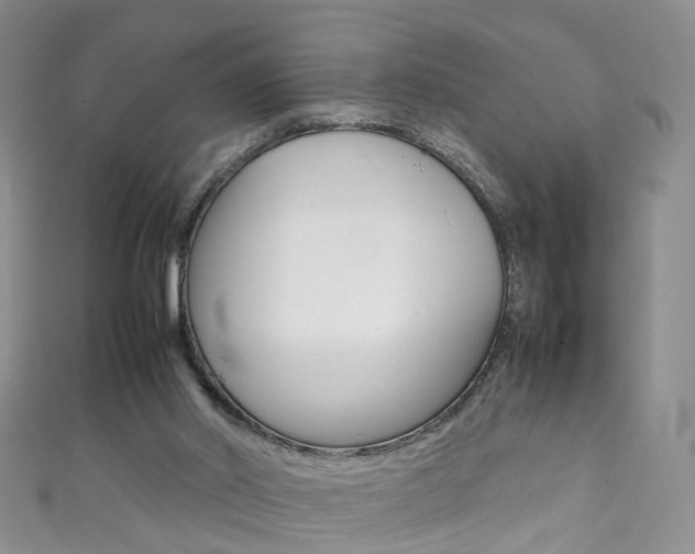 X0000111370014200907101026
