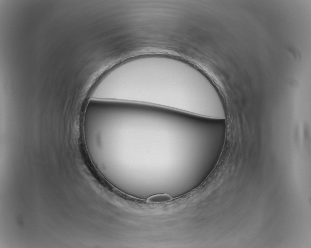 X0000111370015200907101026