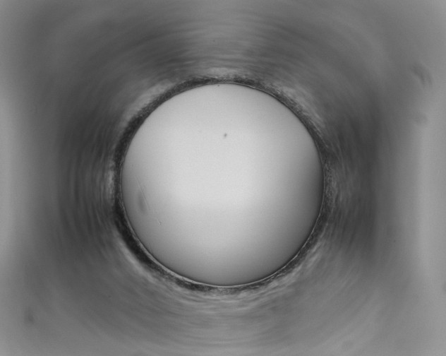 X0000111370016200907101026