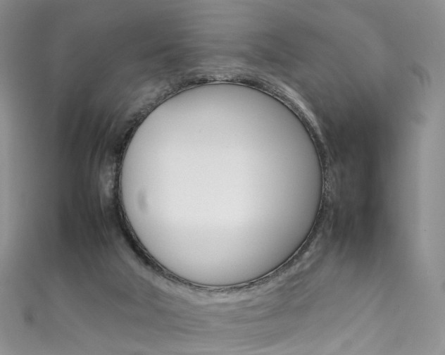 X0000111370018200907101026
